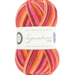 laines-hygge-wys-signature-4ply-y-summer-sunset-881-winwick-mum-1a-v-72