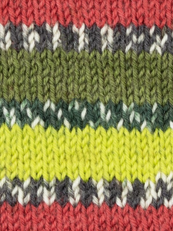 laines-hygge-wys_signature_4ply_y_green_woodpecker_1170_country_birds_sw_v_72